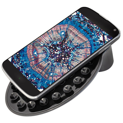 Microscope Bresser Junior 40x-640x Red (8851300E8G)