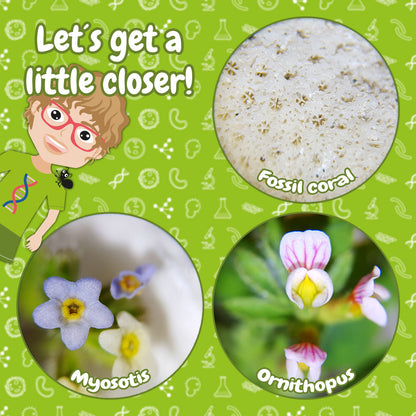 Microscope Bresser Junior 20x Magnification (8856500)