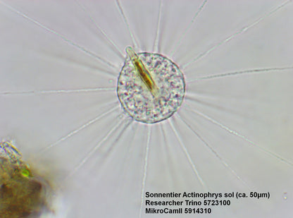 Microscope Bresser Trino Researcher 40x-1000x (5723100)