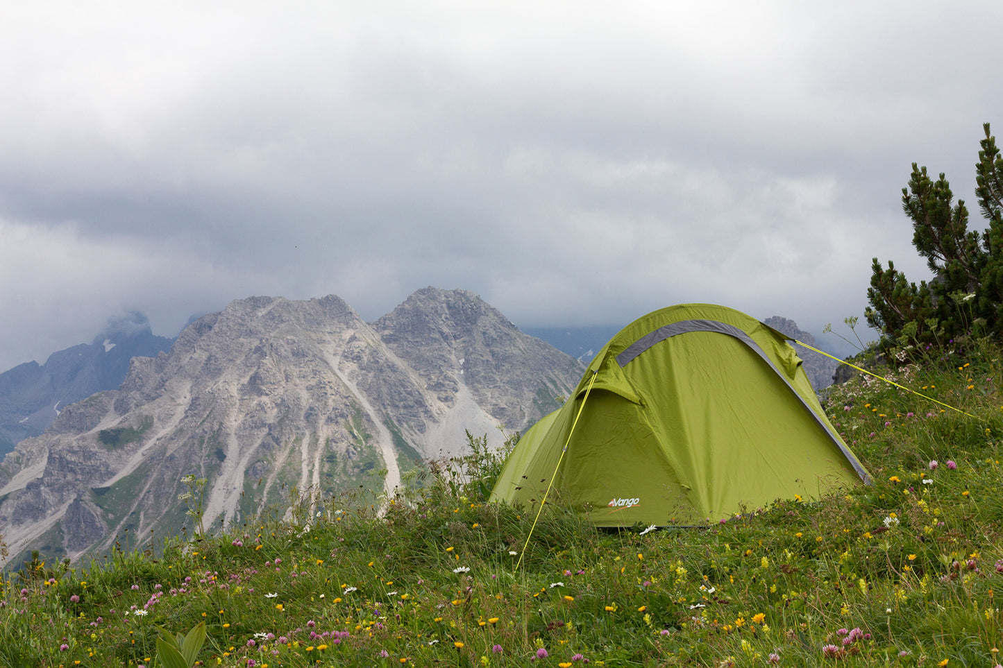 Vango Soul 100 Treetops (TERSOUL T15077)