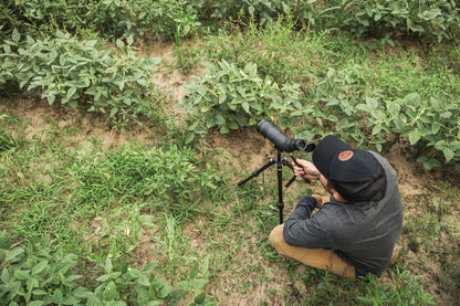 Vortex Crossfire HD 12-36x50 AN (CF-50A)