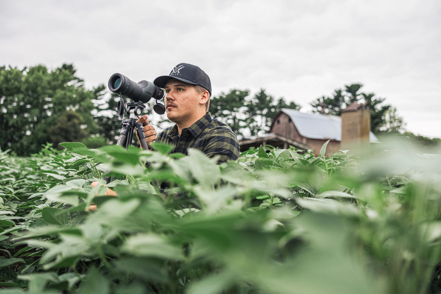 Telescope Vortex Crossfire HD 12-36x50 ST (CF-50S)