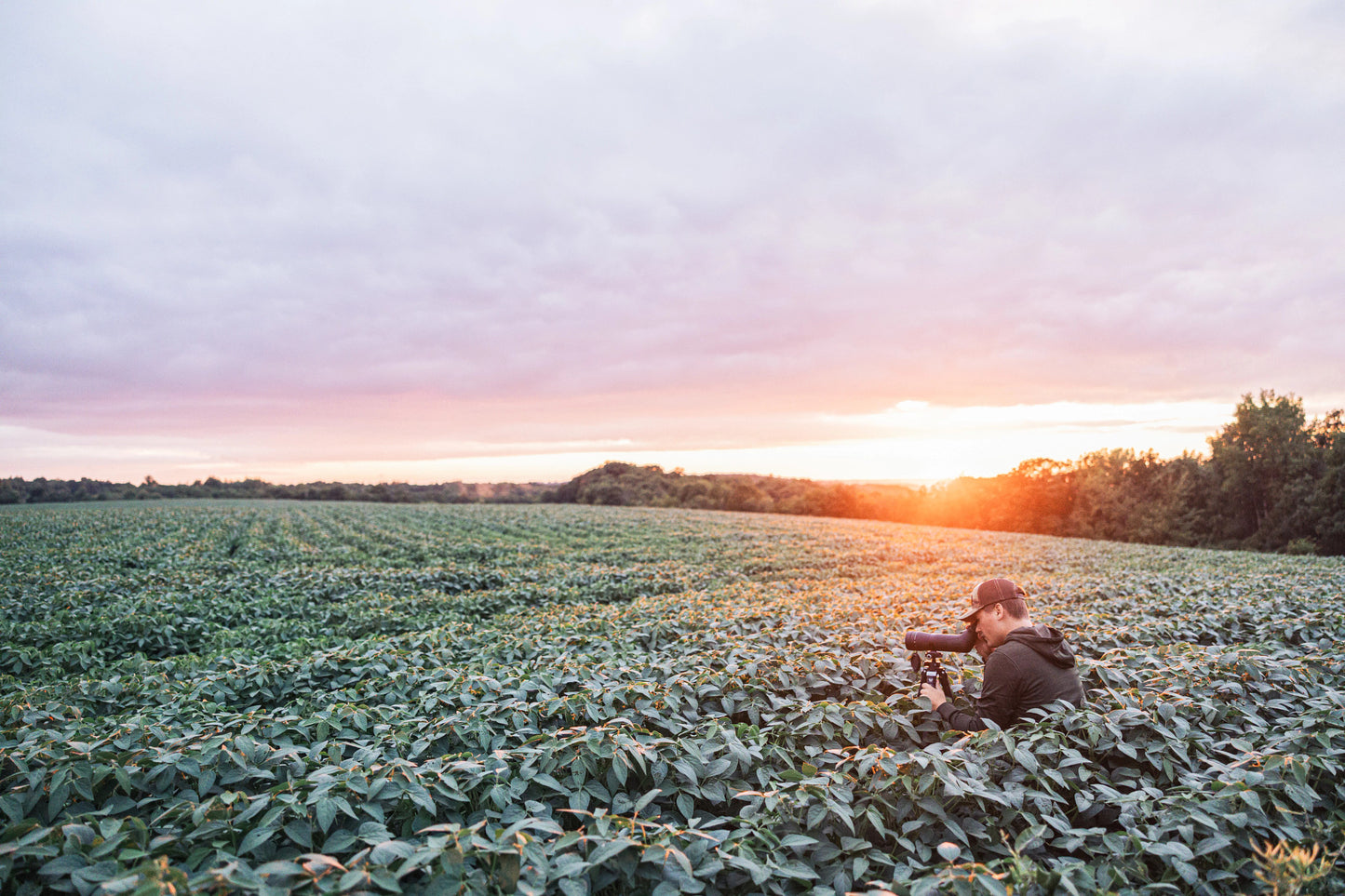 Vortex Crossfire HD 16-48x65 AN (CF-65A)