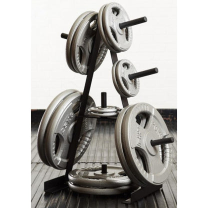 Rack for disks Toorx Rack 25 mm (RPD-25)