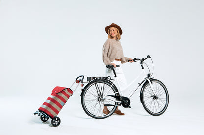 Andersen Scala Shopper Anea Gray (112-175-20) 