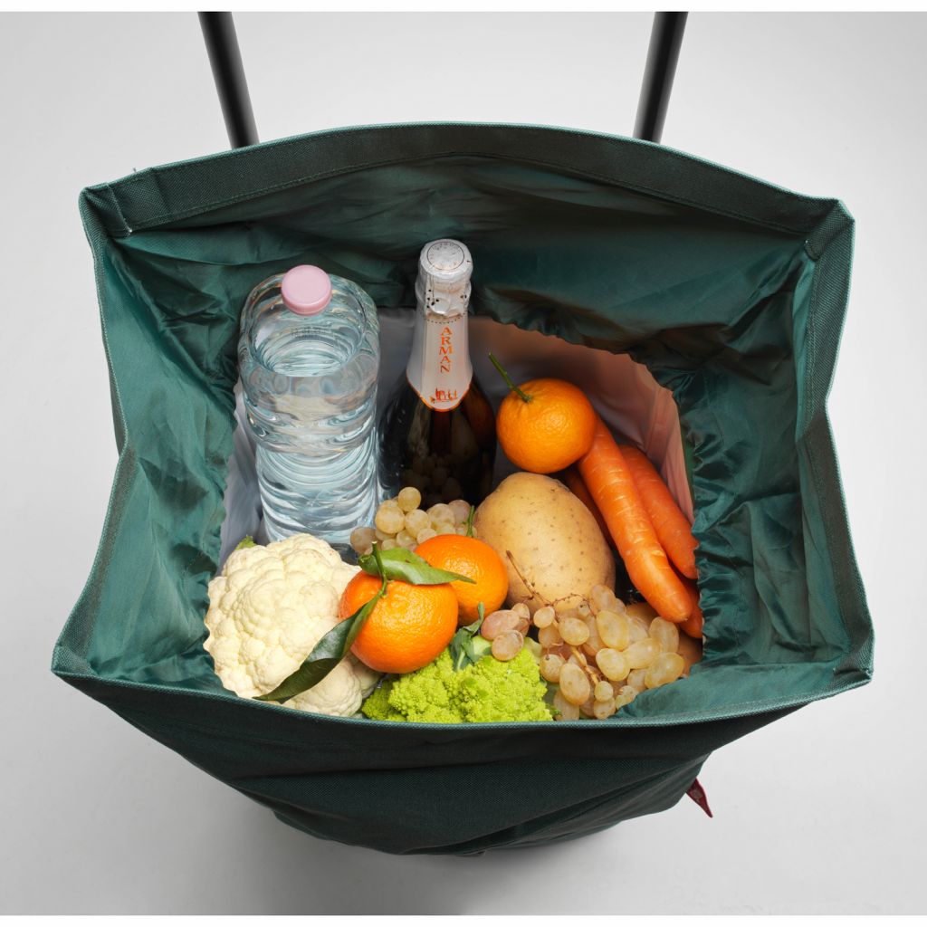 Carry bag Gimi Kool 60 Green (168421)