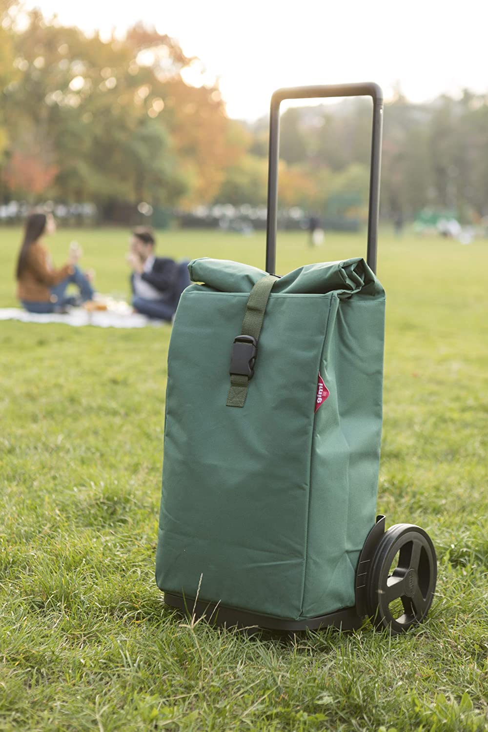 Carry bag Gimi Kool 60 Green (168421)