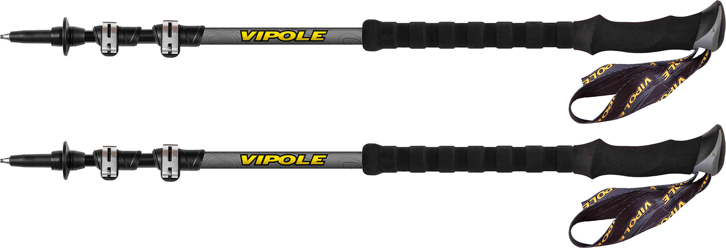 Трекінгові палиці Vipole Base Camp QL Long DLX (S20 06)