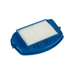 Container filter. HEPA for Rowenta vacuum cleaner