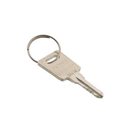 Set of keys (2 pcs.) for AEG freezer door lock