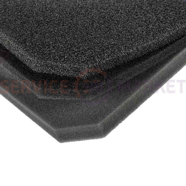 Set of filters ESKC9 output HEPA + foam. for vacuum cleaner Electrolux