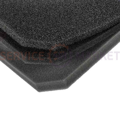 Set of filters ESKC9 output HEPA + foam. for vacuum cleaner Electrolux