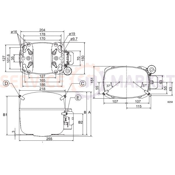 Compressor for refrigeration SECOP (DANFOSS) SC10MLX R404a/R507a 855W (with starting relay BN101
