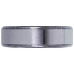 Bearing 6304 SKF 481252028142 2Z (20x52x15)