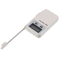 Thermometer with probe WT-2