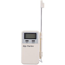 Thermometer with probe WT-2