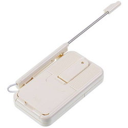 Thermometer with probe WT-2