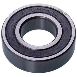 Bearing for sheep cutter Robot Coupe 29630 SKF 6004-2RS (20x42x12) with repair kit