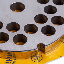 Grate for grinder Lame Italia PF3212SM 12mm D=100mm (with 2 grooves) Enterprise 32