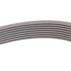 Belt for slicer Megadyne 19310205 TB2-310x8 orange