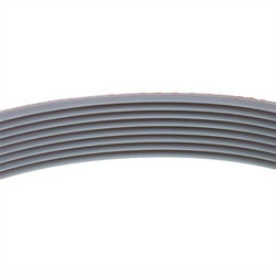 Belt for slicer Megadyne SV330 861 orange