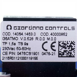 Control board for gas boiler Biasi M290E BI2605105