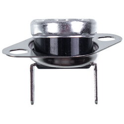 Overheating thermostat 105°C for gas boiler 200025383