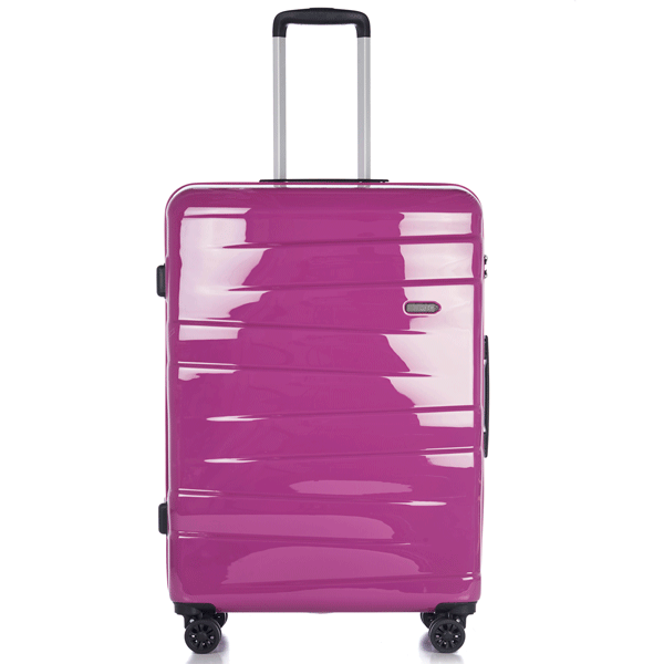 Suitcase Epic Vision (L) Dahlia Violet