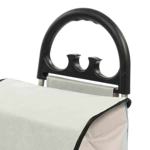 Carry bag Aurora Roma 50 Gray (132 Gray)