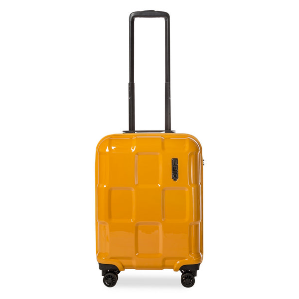 Epic Crate EX Solids (S) Zinnia Orange