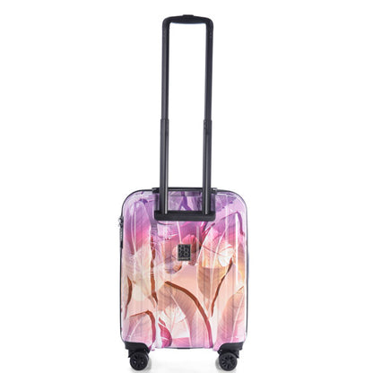 Case Epic Crate EX Wildlife (S) Oasis