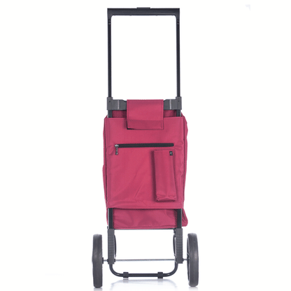 Trolley bag Epic City X Shopper Evolution 33 Red Plum