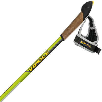 Nordic walking sticks Vipole Instructor Vario QL Green DLX (S20 28)