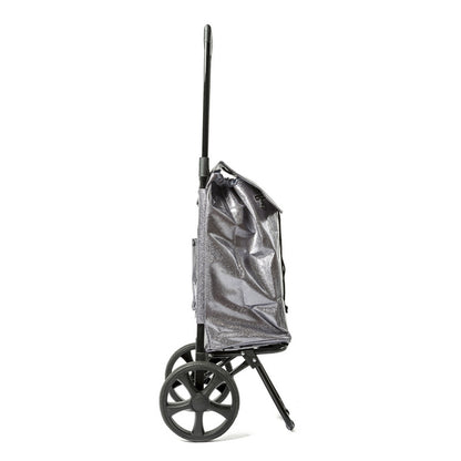 Trolley bag Epic City X Shopper Evolution 33 Glitter Silver