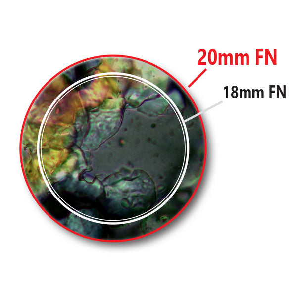 Microscope Optika B-383Ph 40x-1000x Trino Phase Contrast