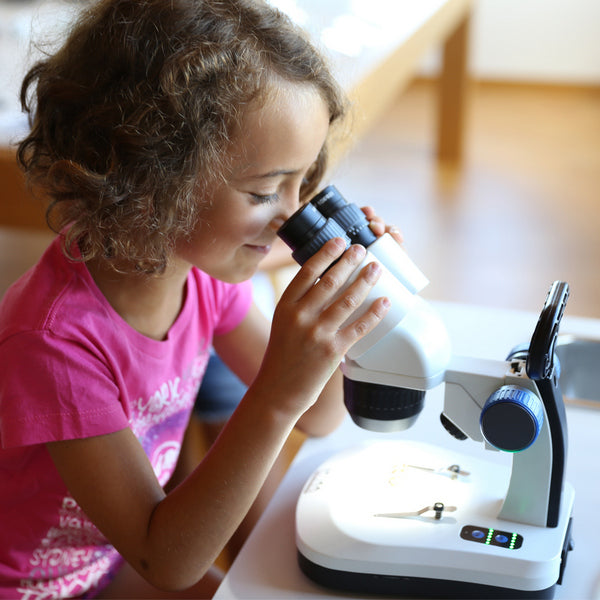 Microscope Optika SFX-34 10x-30x Bino Stereo