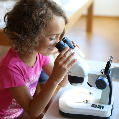 Microscope Optika SFX-34 10x-30x Bino Stereo