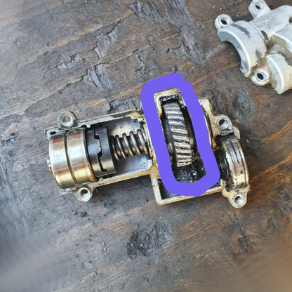 31*8 мм Партнер, Витязь