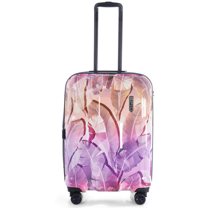 Case Epic Crate EX Wildlife (M) Oasis