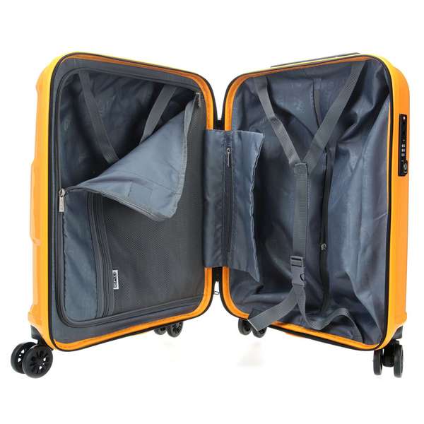 Epic Crate EX Solids (S) Zinnia Orange