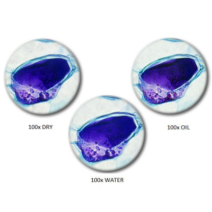 Microscope Optika B-292PLi 40x-1000x Bino Infinity