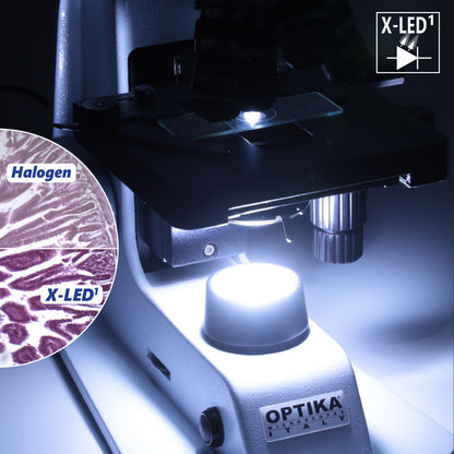 Microscope Optika B-155 40x-1000x Mono