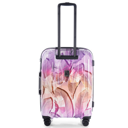 Case Epic Crate EX Wildlife (M) Oasis