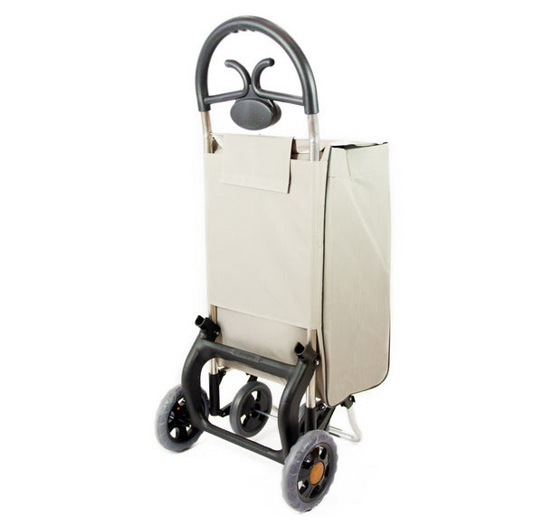 Carry bag Aurora Forza 4_60 Gray (145 Gray)
