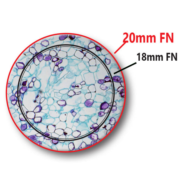 Microscope Optika B-292PLi 40x-1000x Bino Infinity