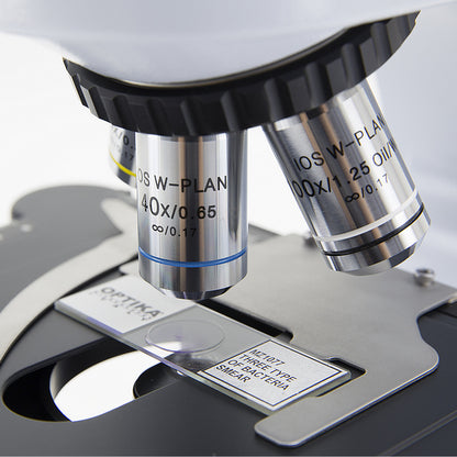 Microscope Optika B-510BF 40x-1000x Trino Infinity