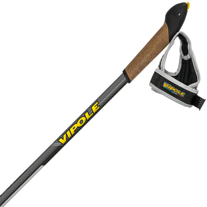 Nordic walking sticks Vipole Instructor Vario QL Dark DLX (S20 27)