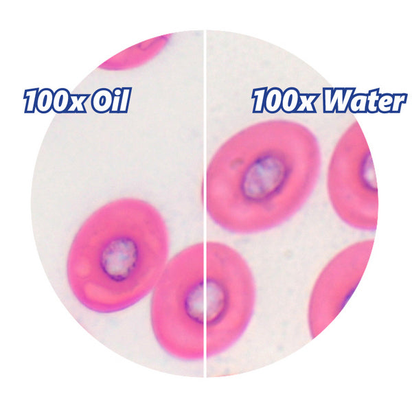 Microscope Optika B-155 40x-1000x Mono