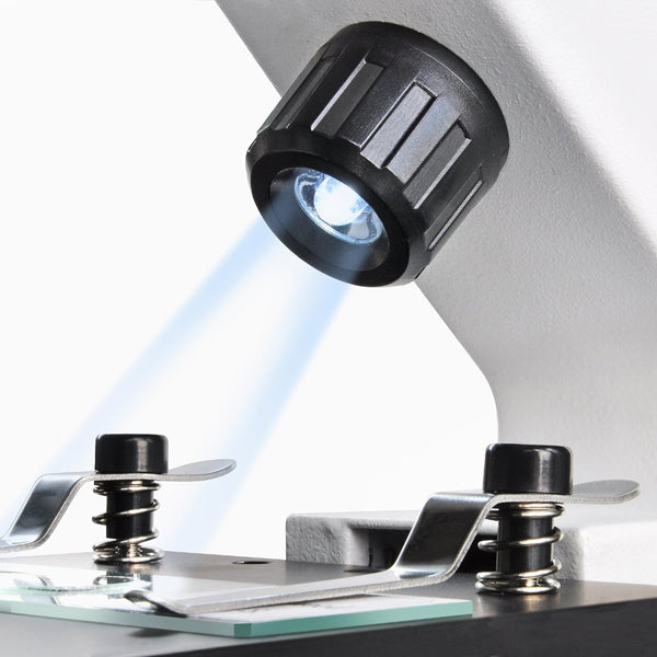 Microscope Bresser Biolux Advance 20x-400x USB