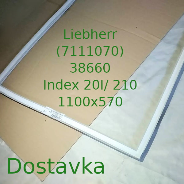 CNes 38660 Index 20i/ 210 original 1100x570